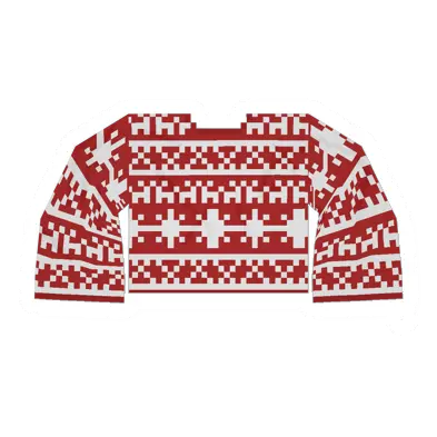Unturned Red Sweater item icon