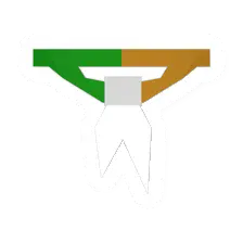 Unturned Patriotic Armband clothing icon