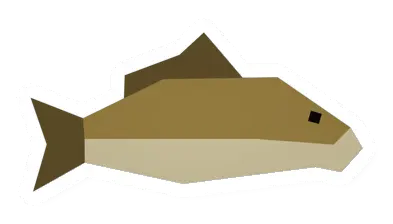 Unturned Raw Carp food icon