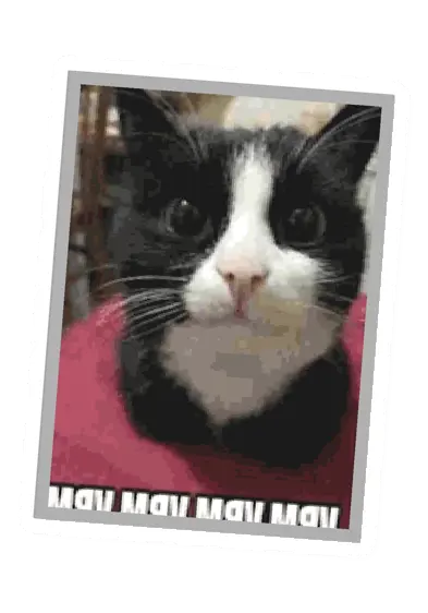 Unturned Poster icon