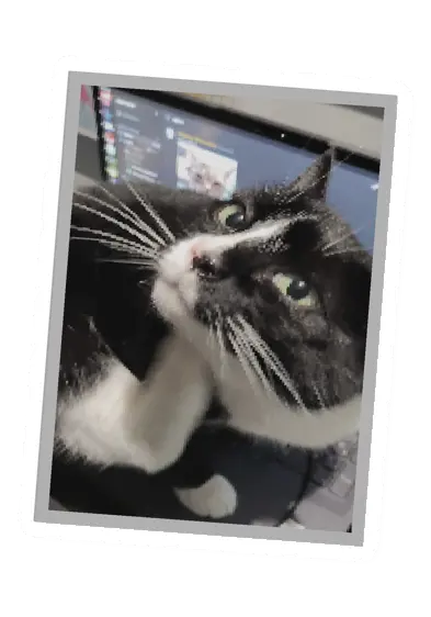 Unturned Poster item icon