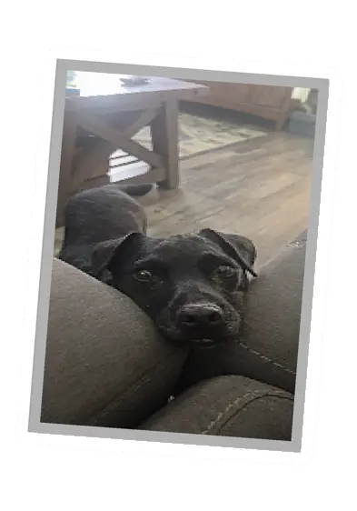 Unturned Poster item icon