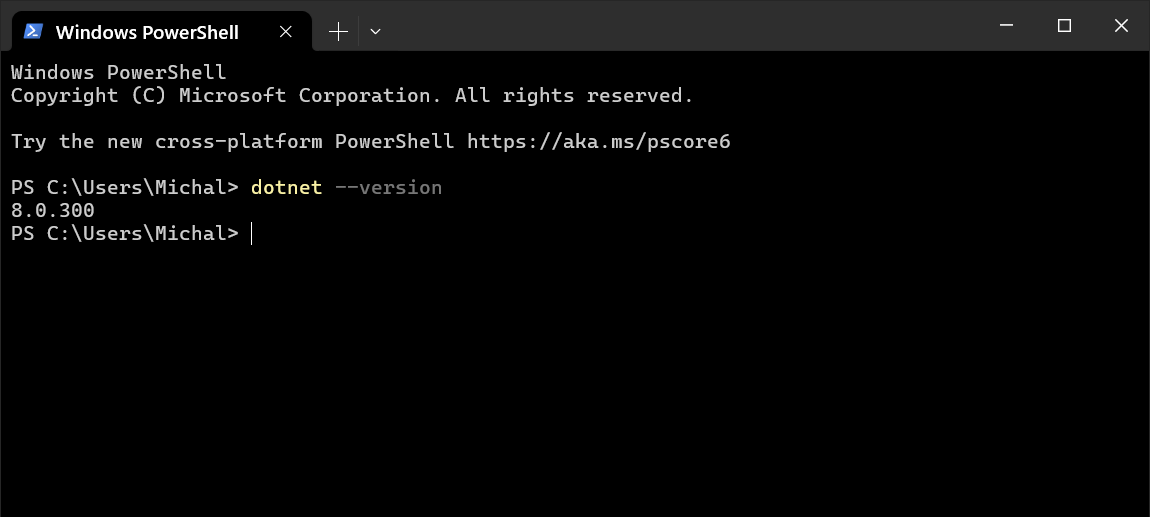 .NET version in command line