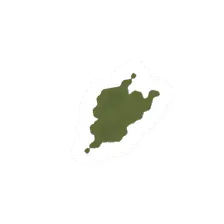 Tea Leaves