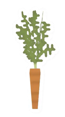 Carrot