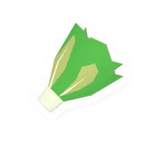 Lettuce