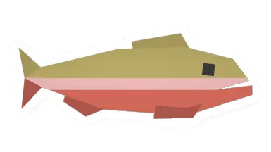 Raw Trout