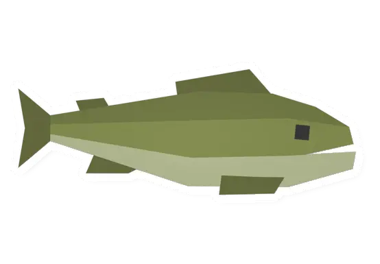 Raw Bass