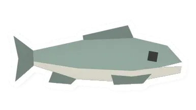 Raw Minnow