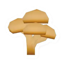 Mushroom