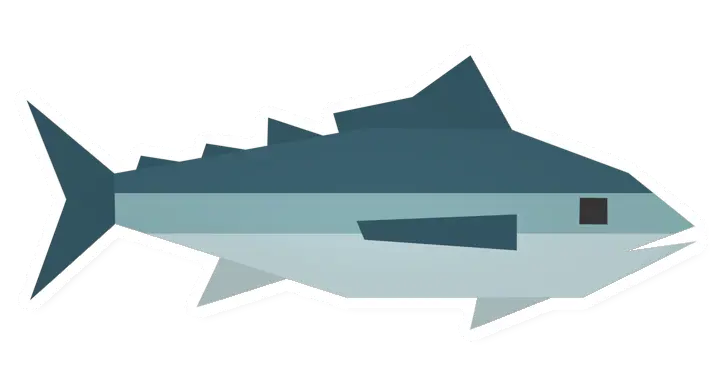 Raw Albacore