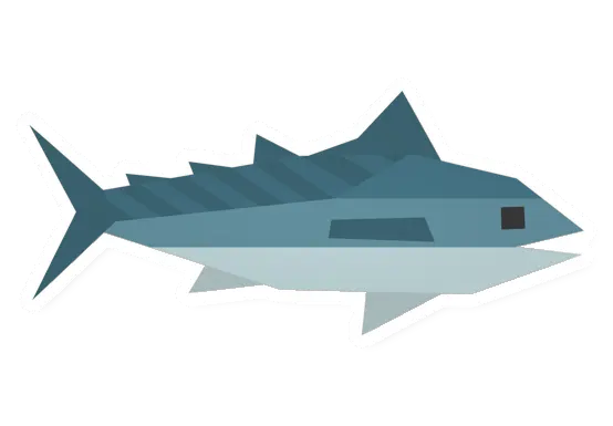 Raw Bonito