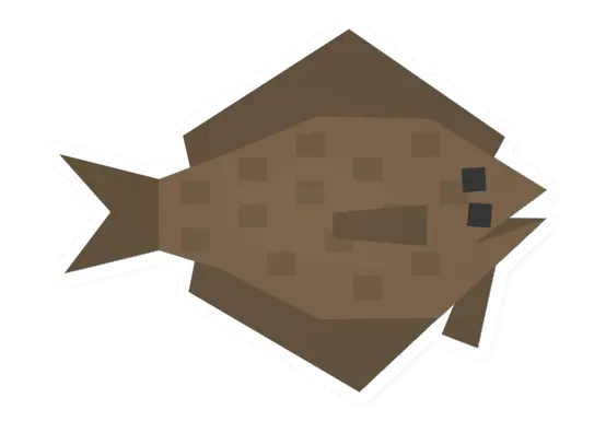 Raw Halibut