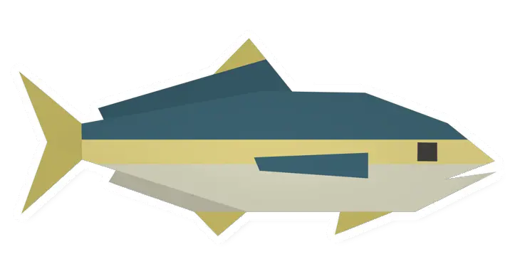 Raw Yellowfish