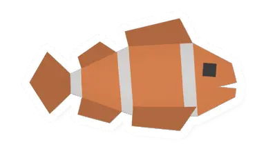Raw Clownfish
