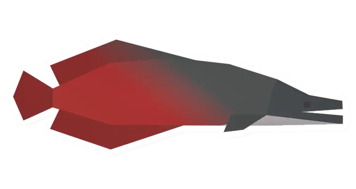 Raw Arapaima