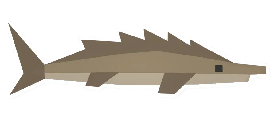 Raw Sturgeon