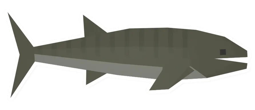 Raw Whalefish