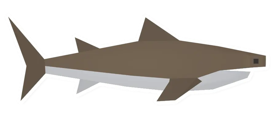 Raw Hammerhead Shark