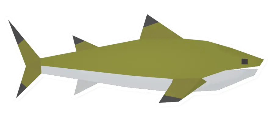 Raw Lemon Shark