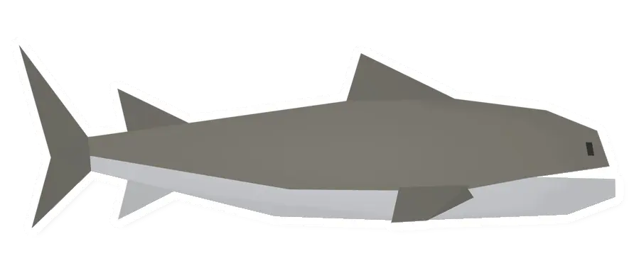 Raw Megamouth Shark