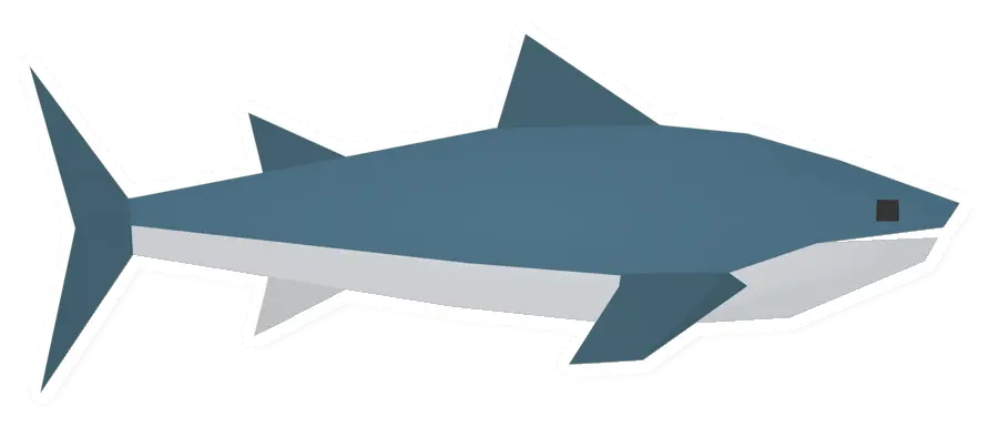 Raw White Shark