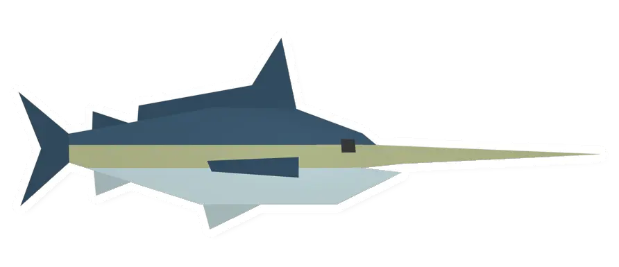 Raw Swordfish