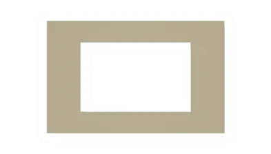 Palm Window
