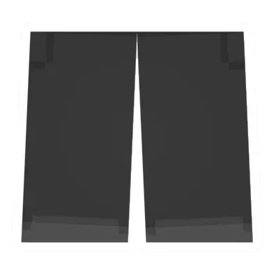 Trouser Pants