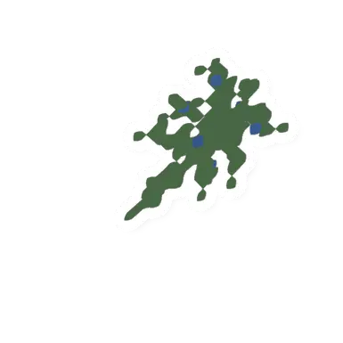 Blueberry Plant