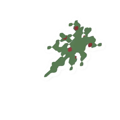 Raspberry Plant