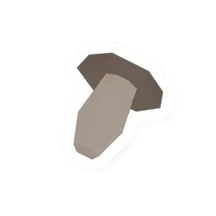 Brown Mushroom