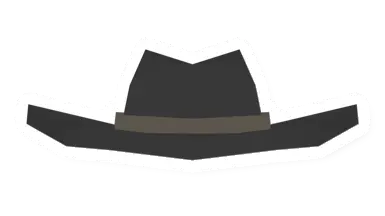 Cowboy Hat