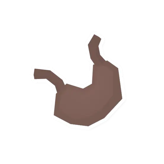Large Animal Stomach