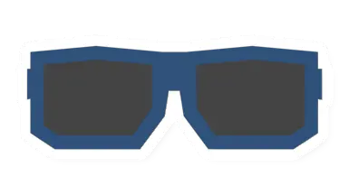 Sunglasses