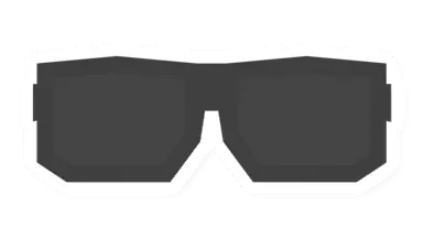 Sunglasses