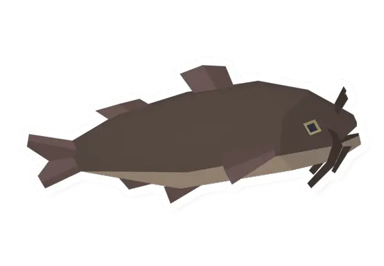 Catfish