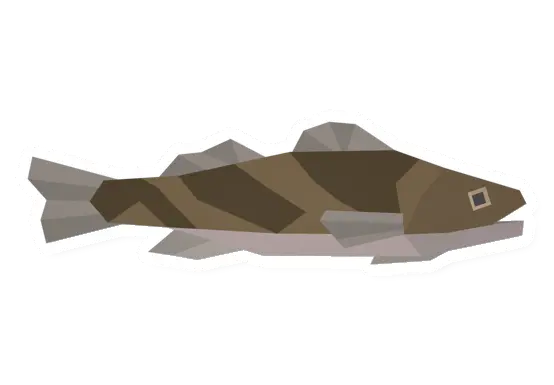 Sauger