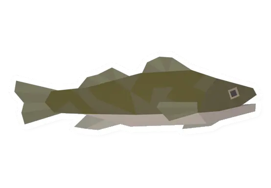 Walleye