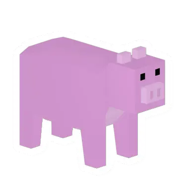 Tame Pig