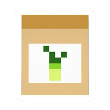 Leek Seed