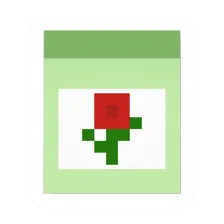 Red Flower Seed