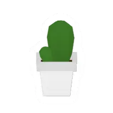 Cactus Pot