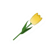 Yellow Flower