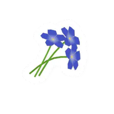 Blue Flower