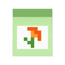 Orange Flower Seed