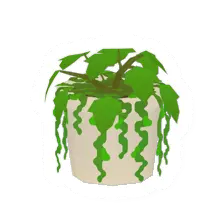 Potted Vines