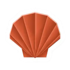 Raw Scallop