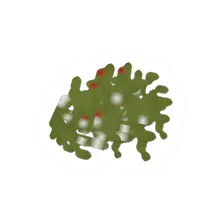 Ground Herbs