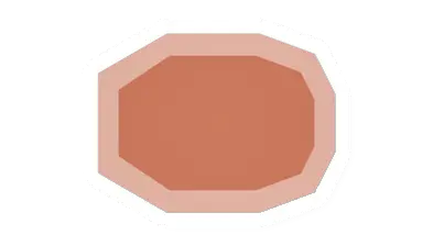 Raw Pork
